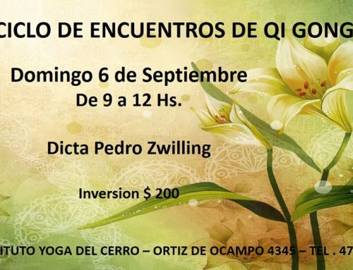 Ciclo de Encuentros de Qi Gong
